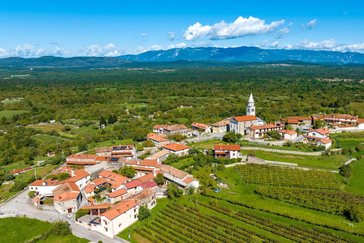 Karst House Zan Pliskovica With Private Pool Villa Dutovlje ภายนอก รูปภาพ
