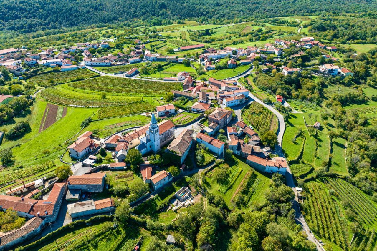 Karst House Zan Pliskovica With Private Pool Villa Dutovlje ภายนอก รูปภาพ